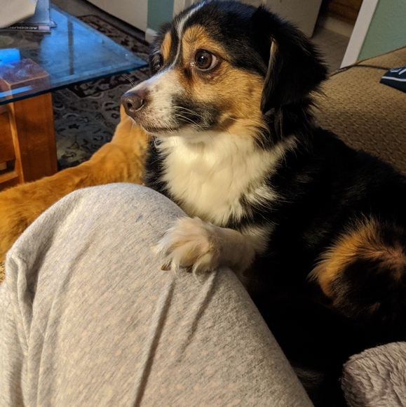 Welcome to my closet! - Picture 2 of 5